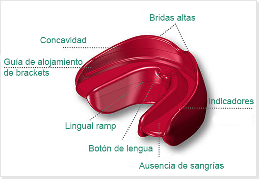 Bio Activador integral plus