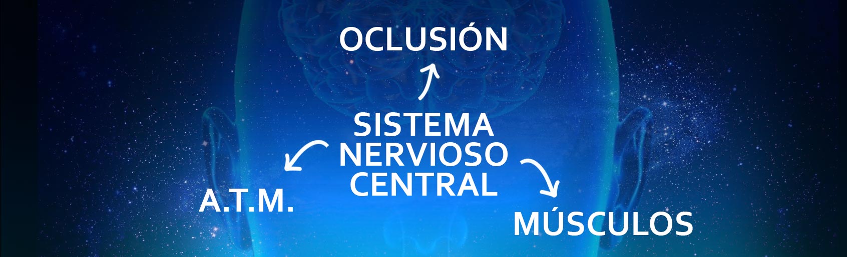 CENTRAL NERVOUS SYSTEM